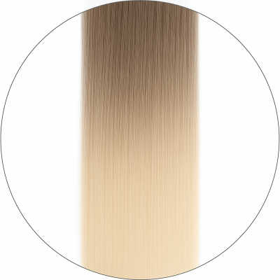 Long Lasting Hårträns - #11/1001 Balayage