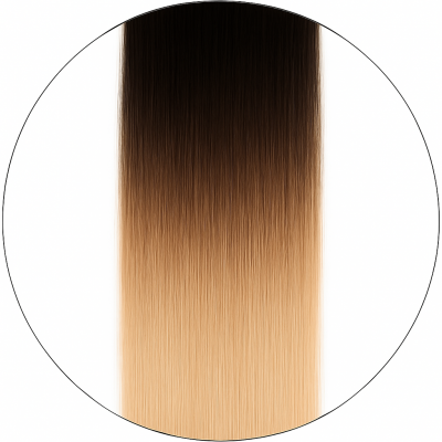 Hårträns - #1/6001 Balayage
